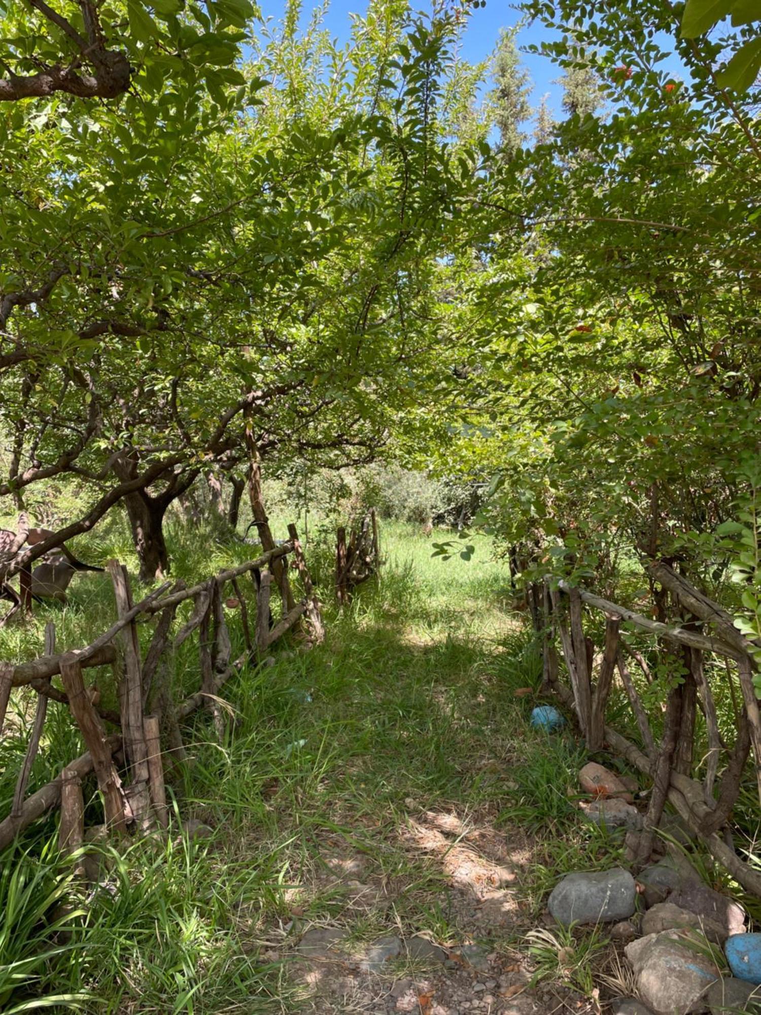 Villa De L'Atlas Tagadirt Ngoại thất bức ảnh